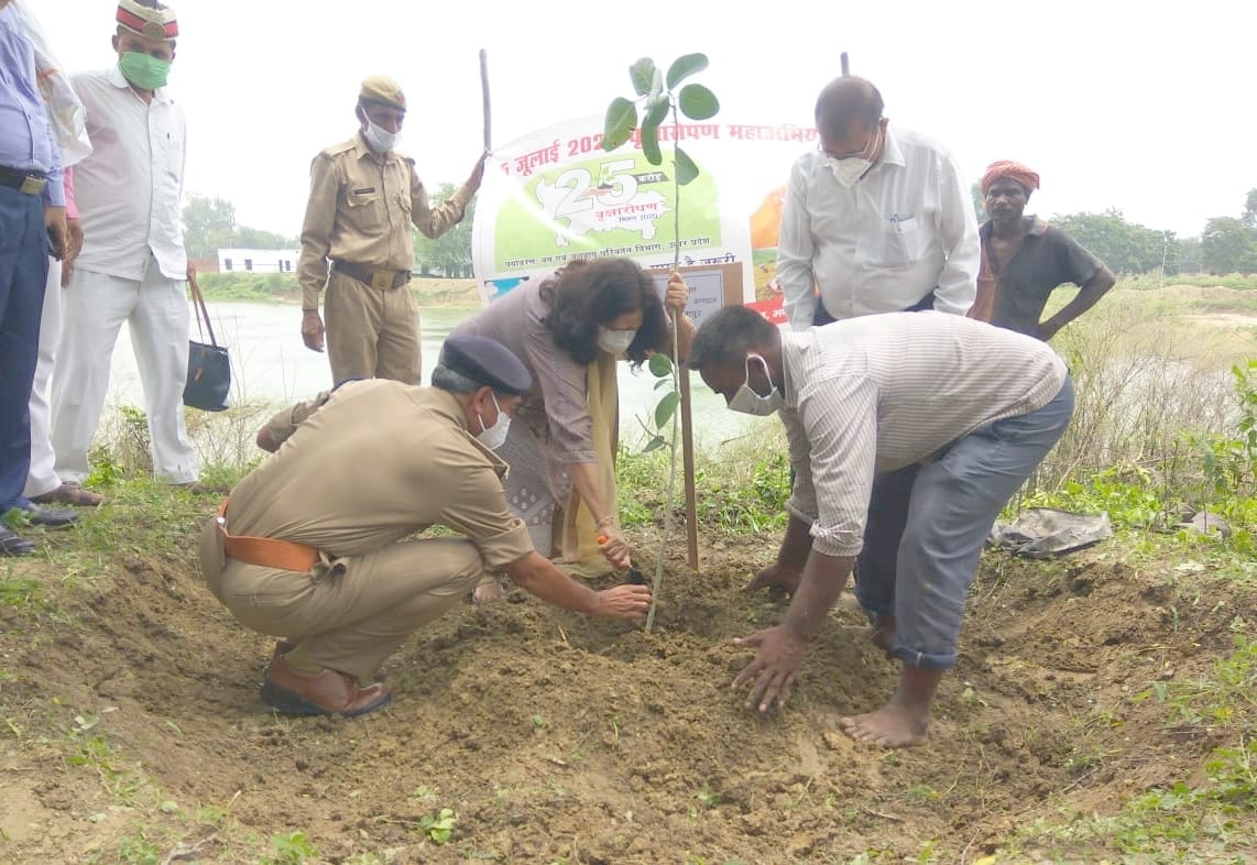 Plantation necessary for environmental protection