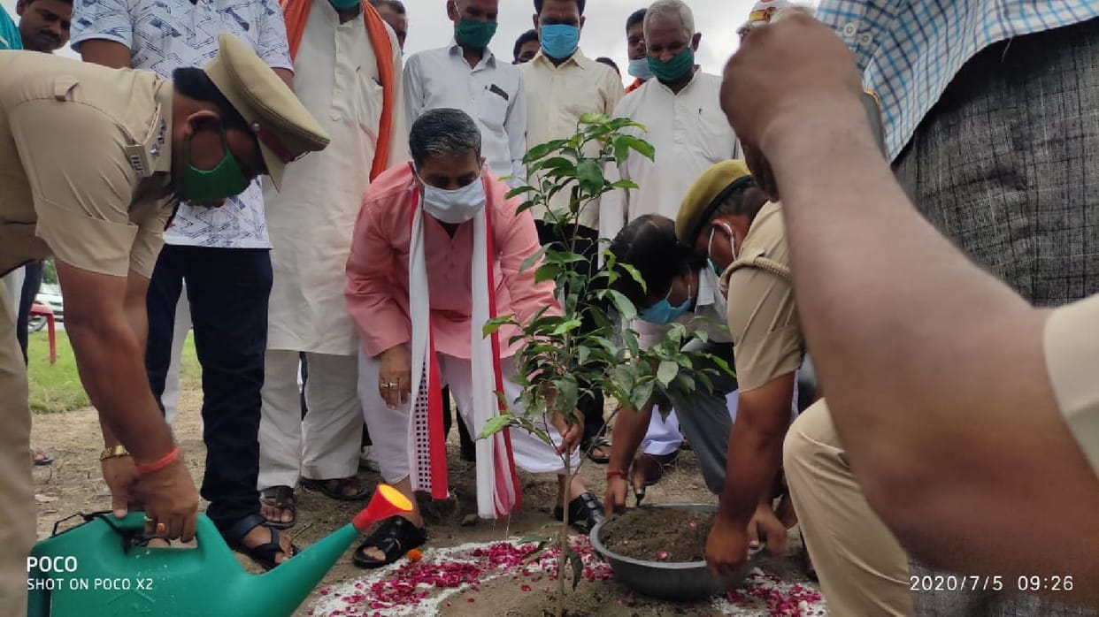 55 lakh saplings planted to keep Terai green