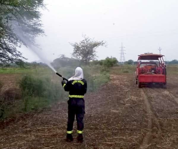 Locust team attacked six villages of Mahoba's Panwadi area