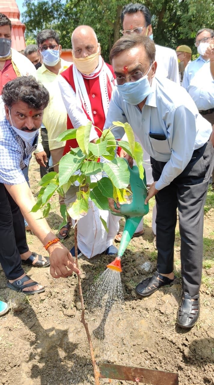 26 lacs plants planted