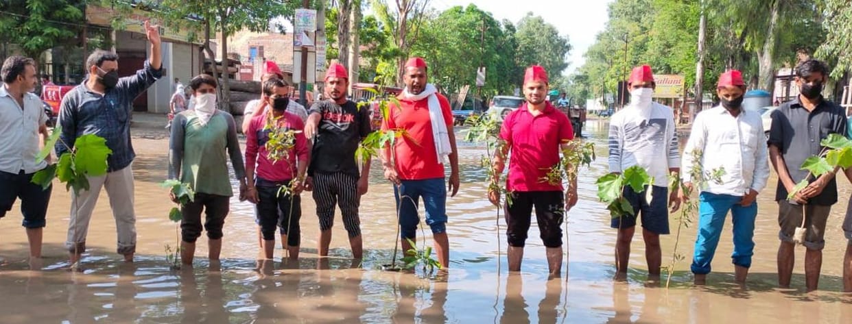 SP workers planted saplings on the road