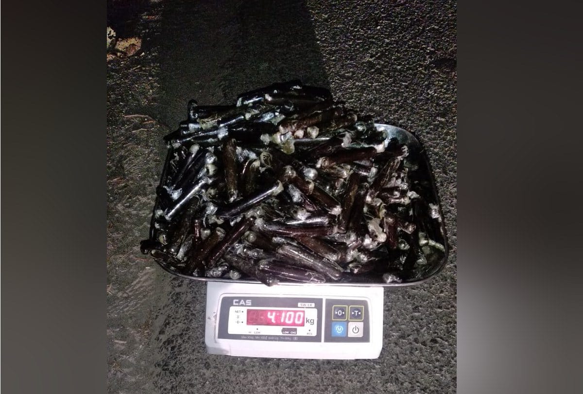 one arrested with four kg charas in kullu himachal pradesh