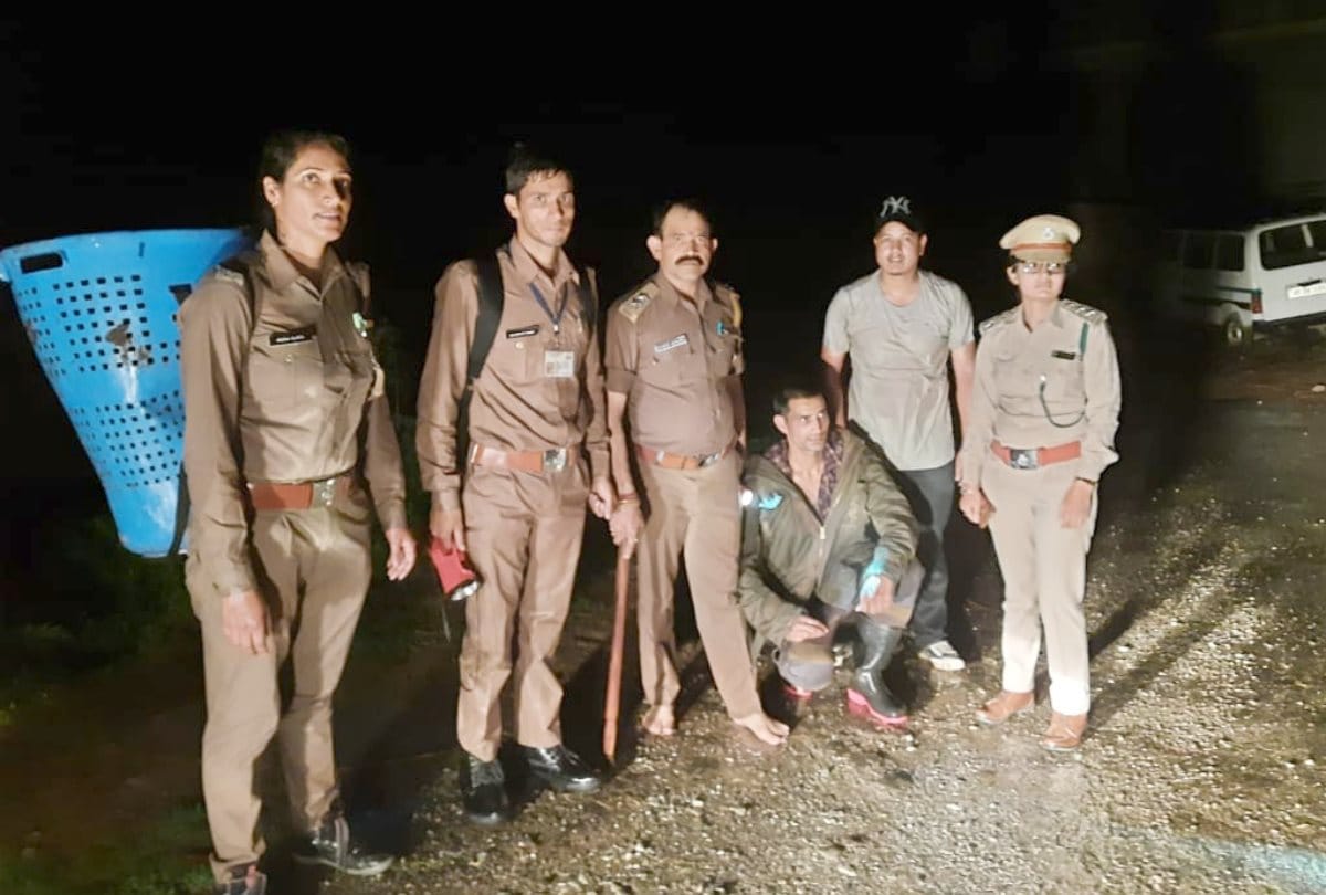 Himachal News: One arrested illegal tree felling in Manali Kullu Himachal Pradesh