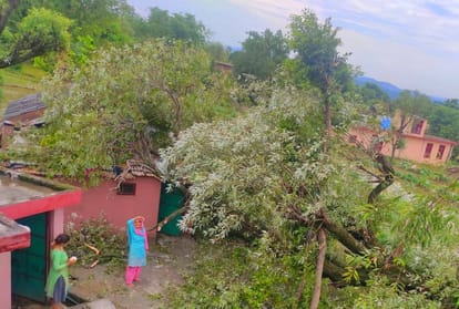 Himachal News: Snowfall in Lahaul Spiti and Heavy rain in plain areas of himachal pradesh
