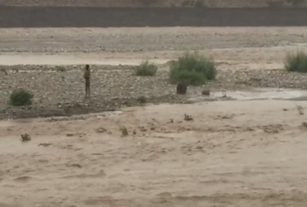Uttarakhand Weather Update: Rain with strong winds expected in 24 hours Yellow alert issued in five districts