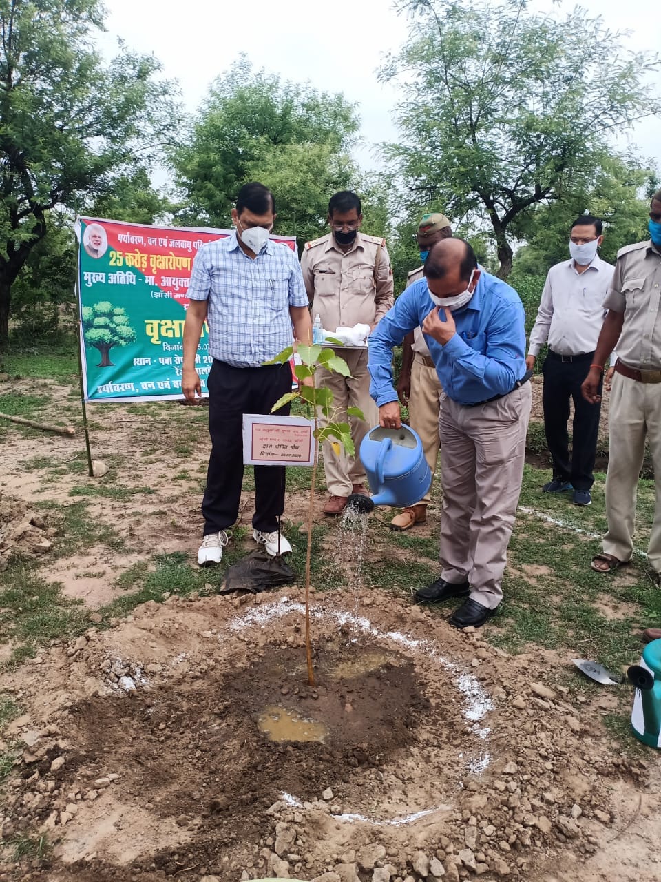 plantation by commisinor jhansi