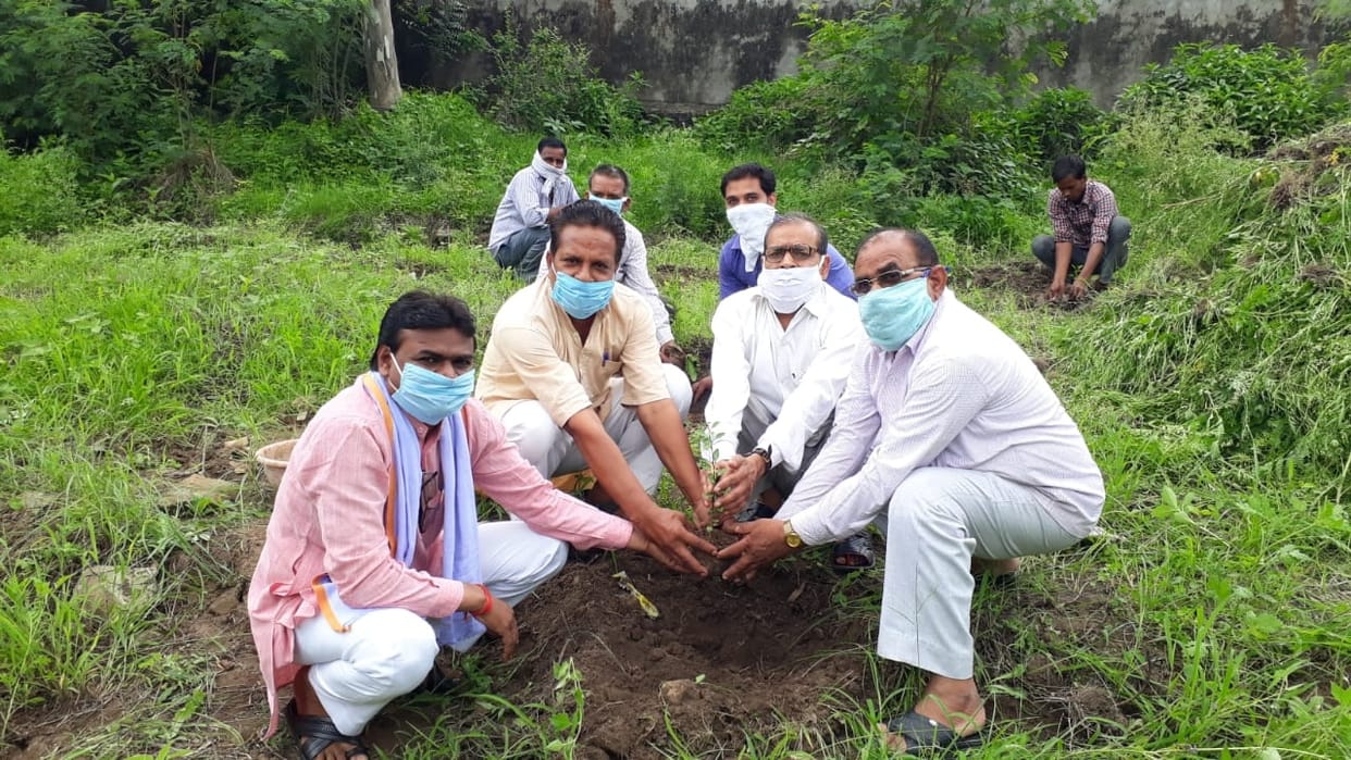 38 lakh plantation, target achived