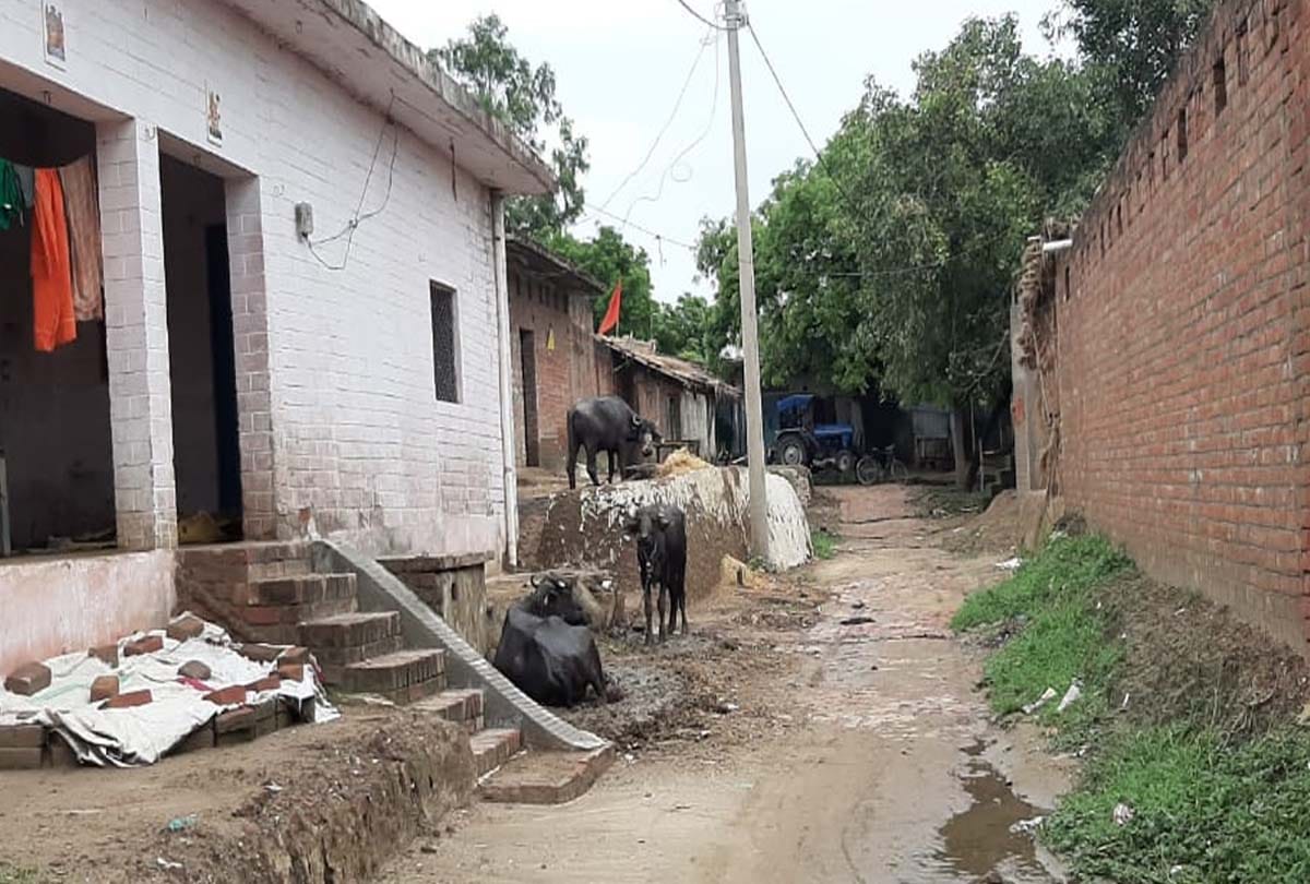 Vikas Dubey Kanpur Police Encounter News:Police under siege of Vikas Dubey bodyguard Babban