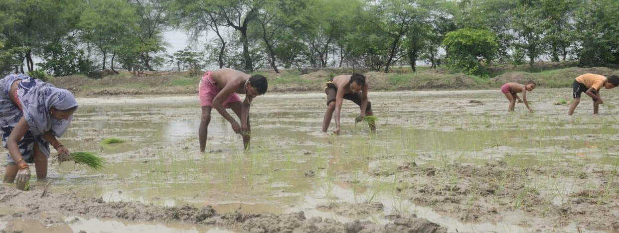 A decade later, monsoon arrived in Chitrakoot