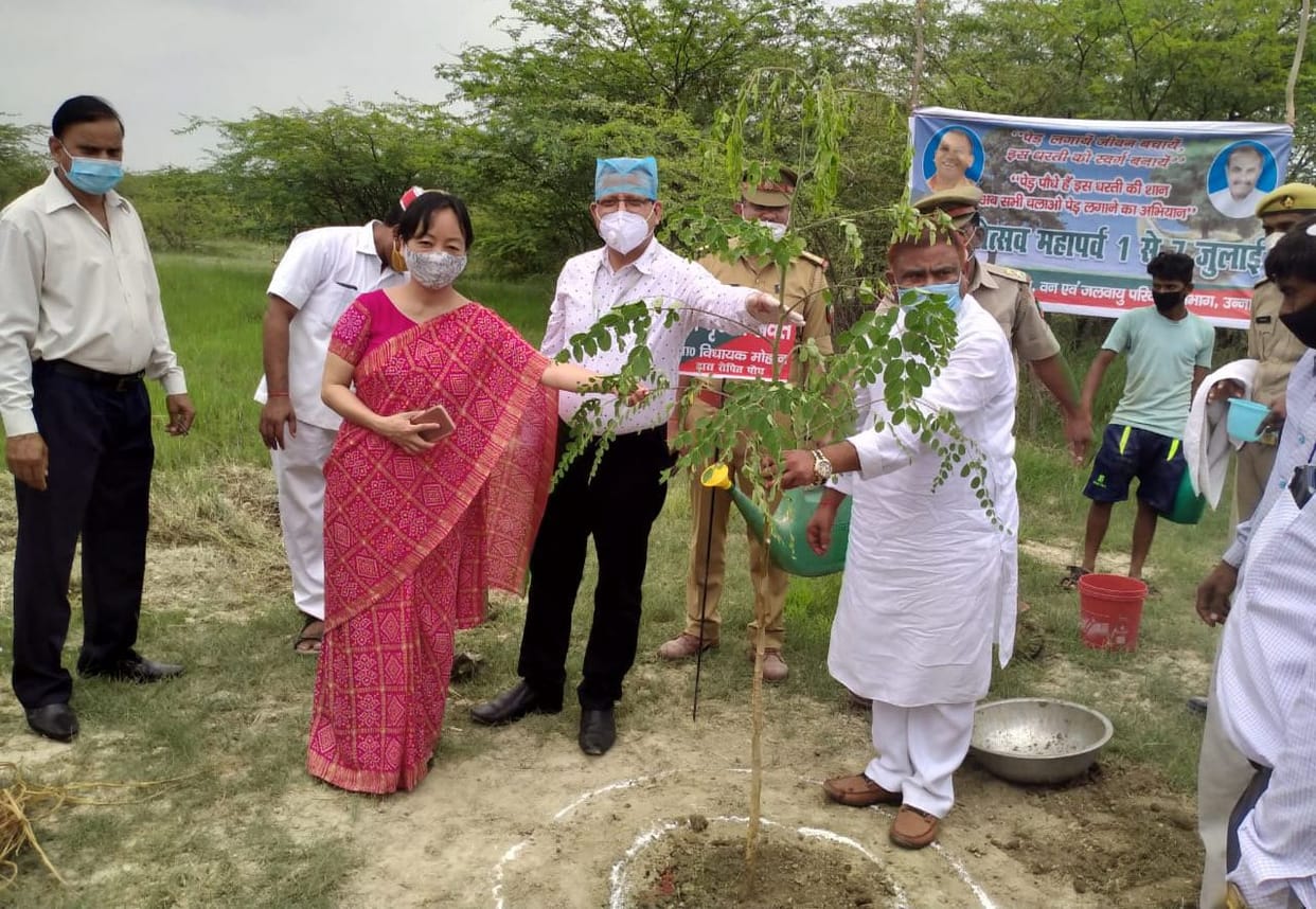 The district made a record by planting 47.91 lakh saplings in one day