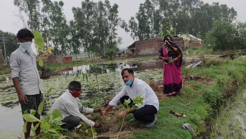 Unnao tops in the state with fifty-five lakh plantations