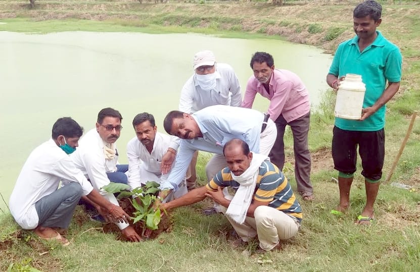 Plants planted on Shyama Prasad Mukherjee's birth anniversary