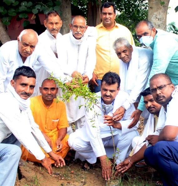 Plantation done in Gayatri Godham