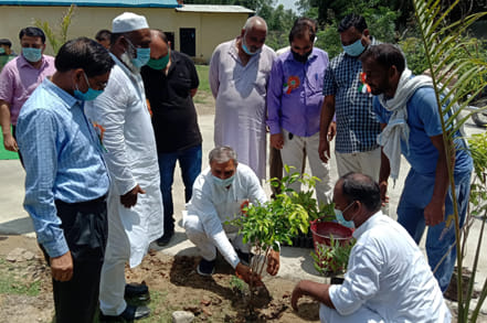 Pollution Control Board will plant 2.10 lakh plants in the district