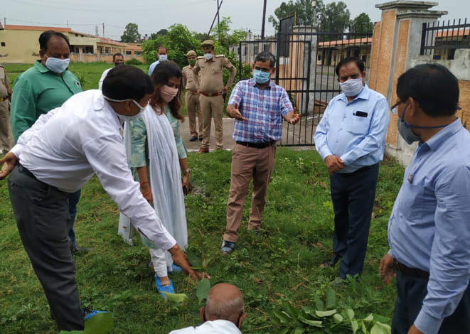 More than 37 lakh saplings were planted in the district