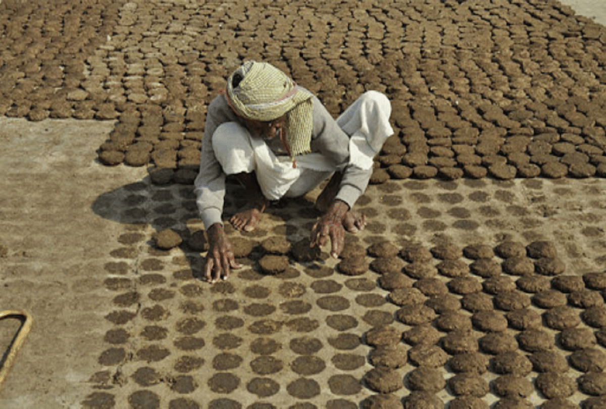 Paint made of cow dung will be used in government building.
