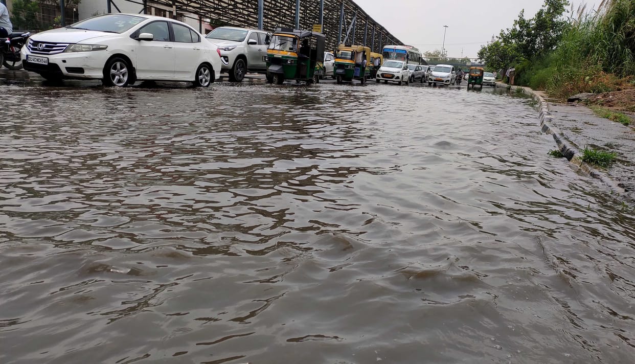 after 24 hours water logging still