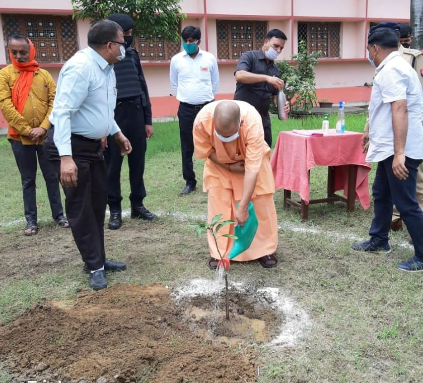 the gorakhpur grew towards greenry  plants planted