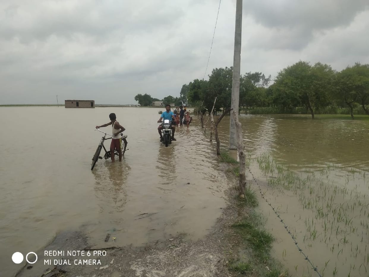 Harvesting fast, six houses in the river