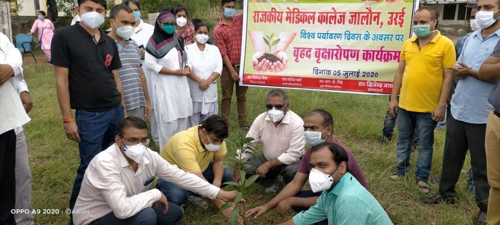 More saplings planted in the district