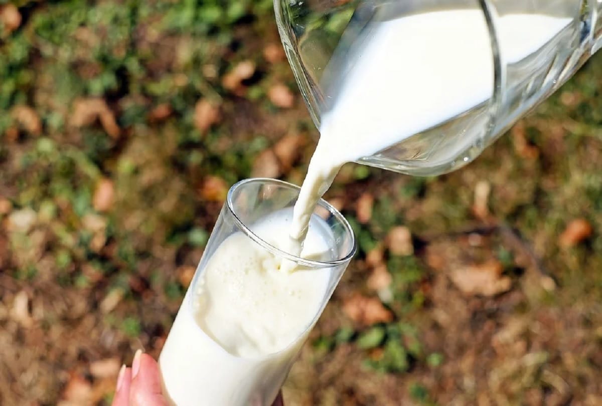 Punjabi University Patiala Invents Device to Find Out Mixing in Milk