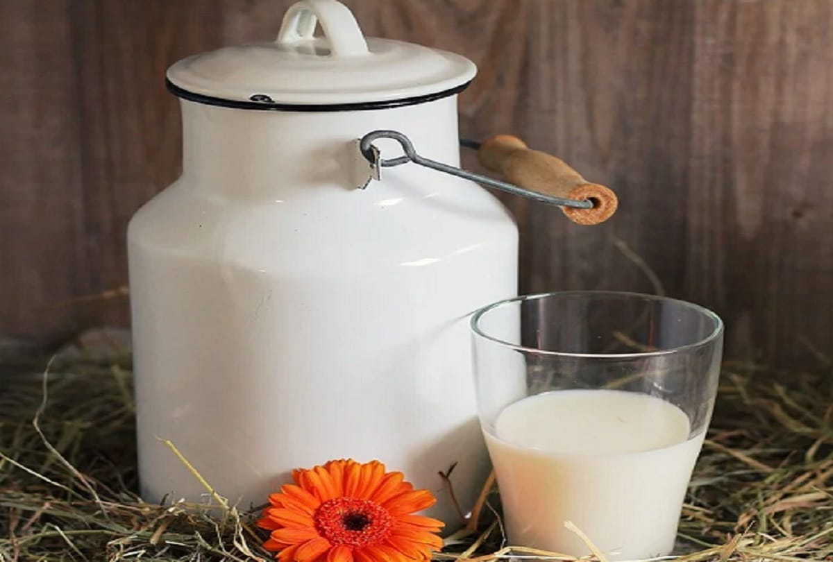 how to store milk and other dairy products to fresh long time