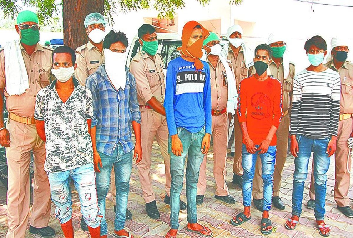Agra Police Arrested Vehcile Thieves Gang From Sikandra Crime News