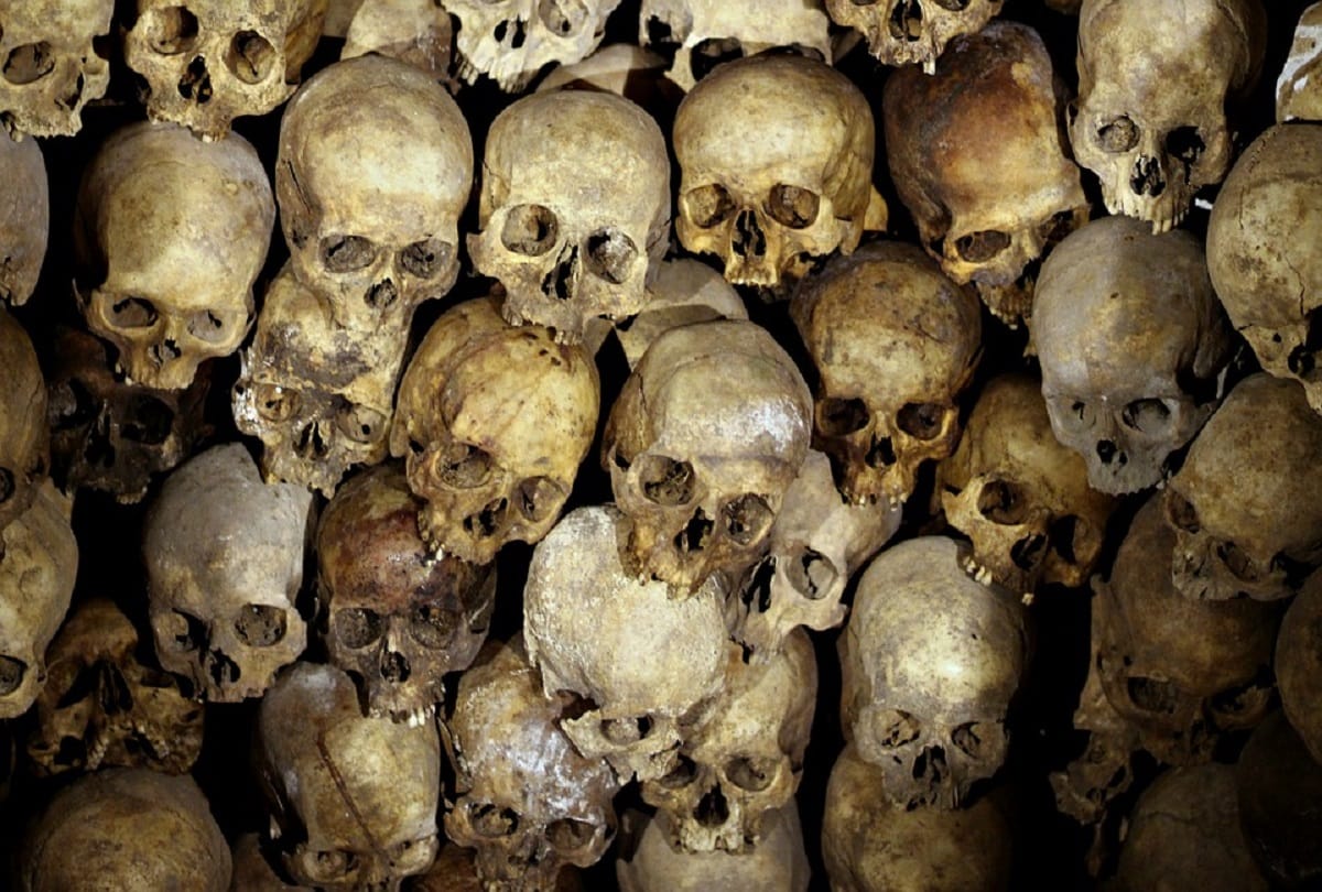 Bubonic Plague News: What is Bubonic plague also known as black death reported in China, All You Need to Know