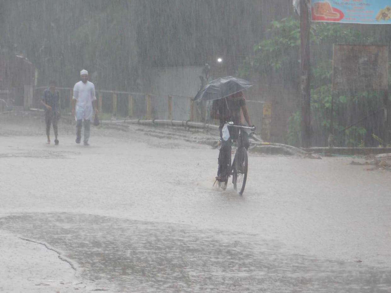 Worries of farmers due to continuous rain, life too busy