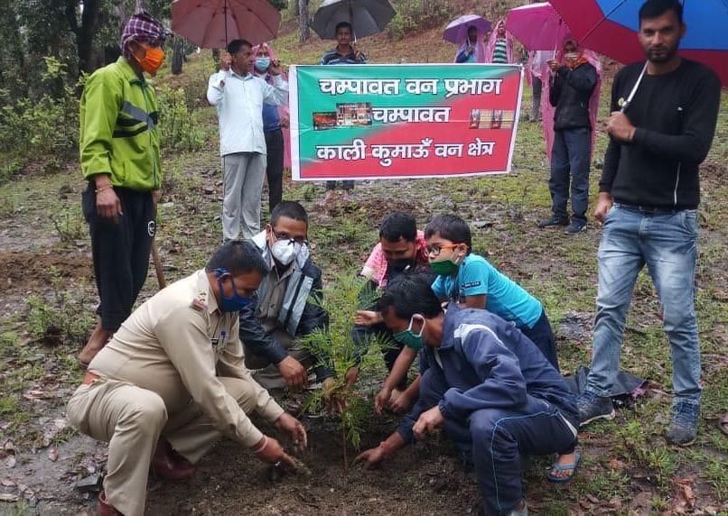 Plant a tree to keep nature green