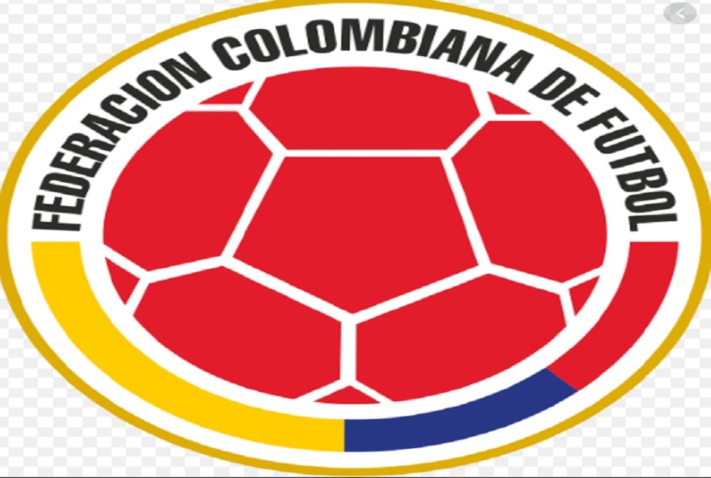 colombian federation fifa official fined in ticket scam