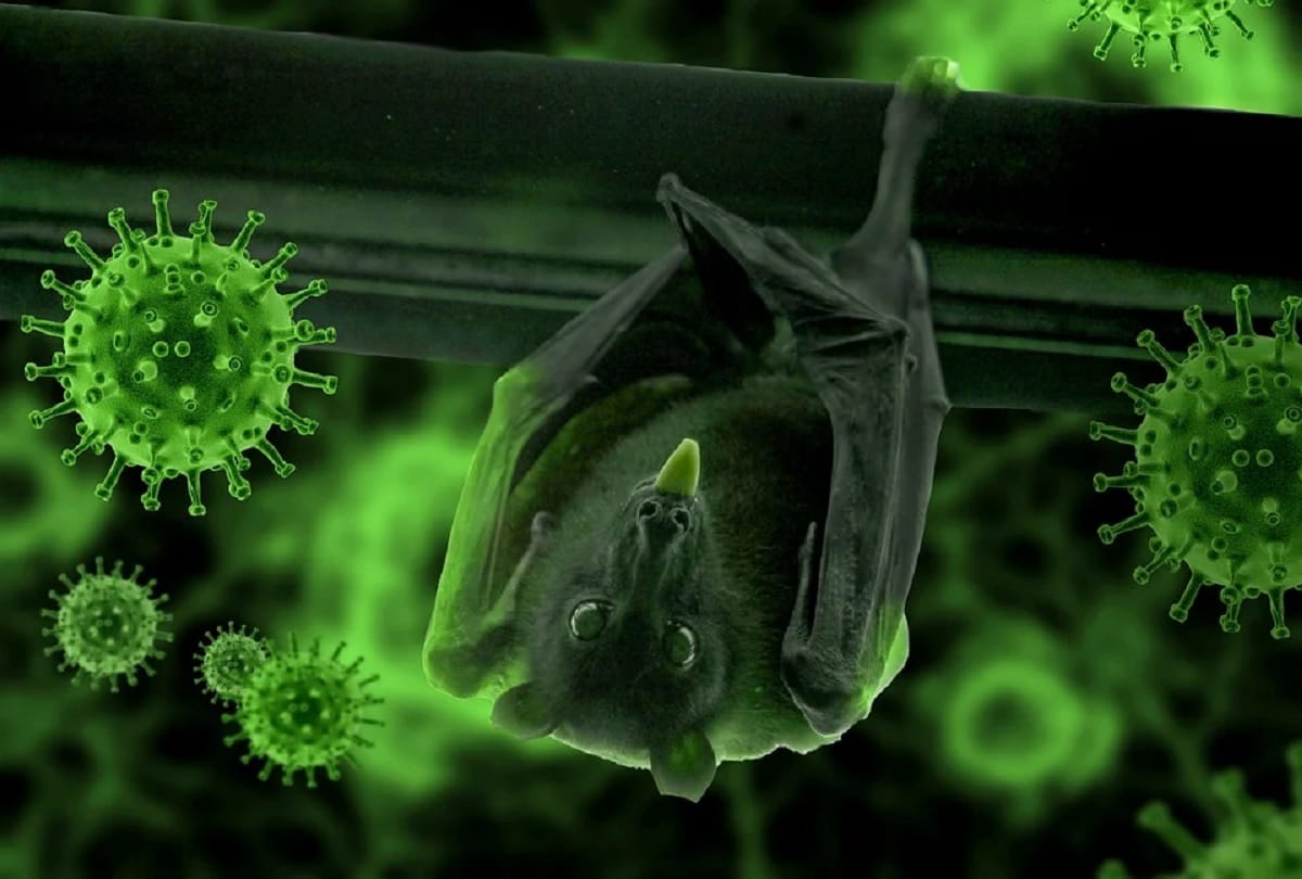 Coronavirus US scientists claim Covid 19 could be at least 8 years old and started spreading from a Chinese mine first