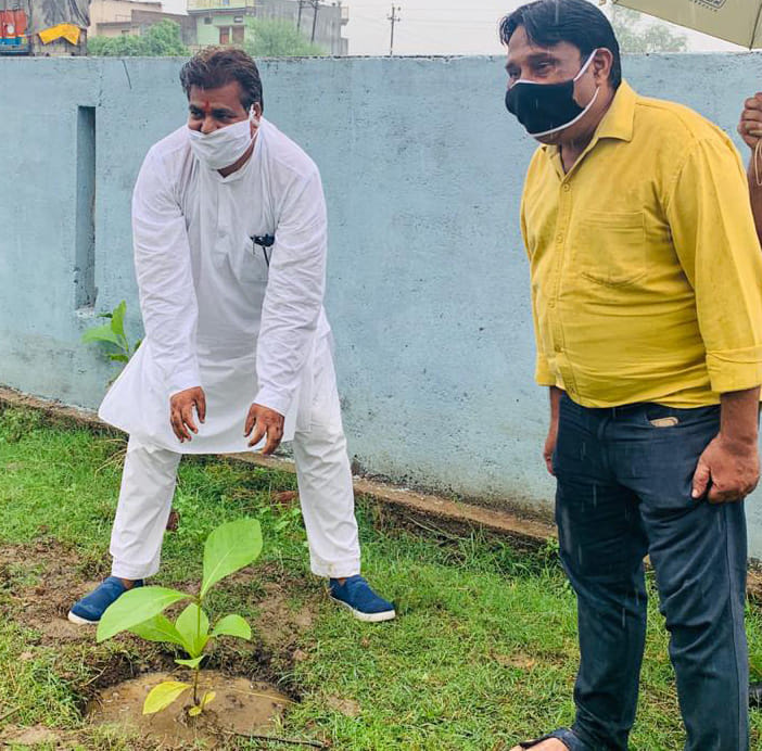 plantation, docter mukherjee