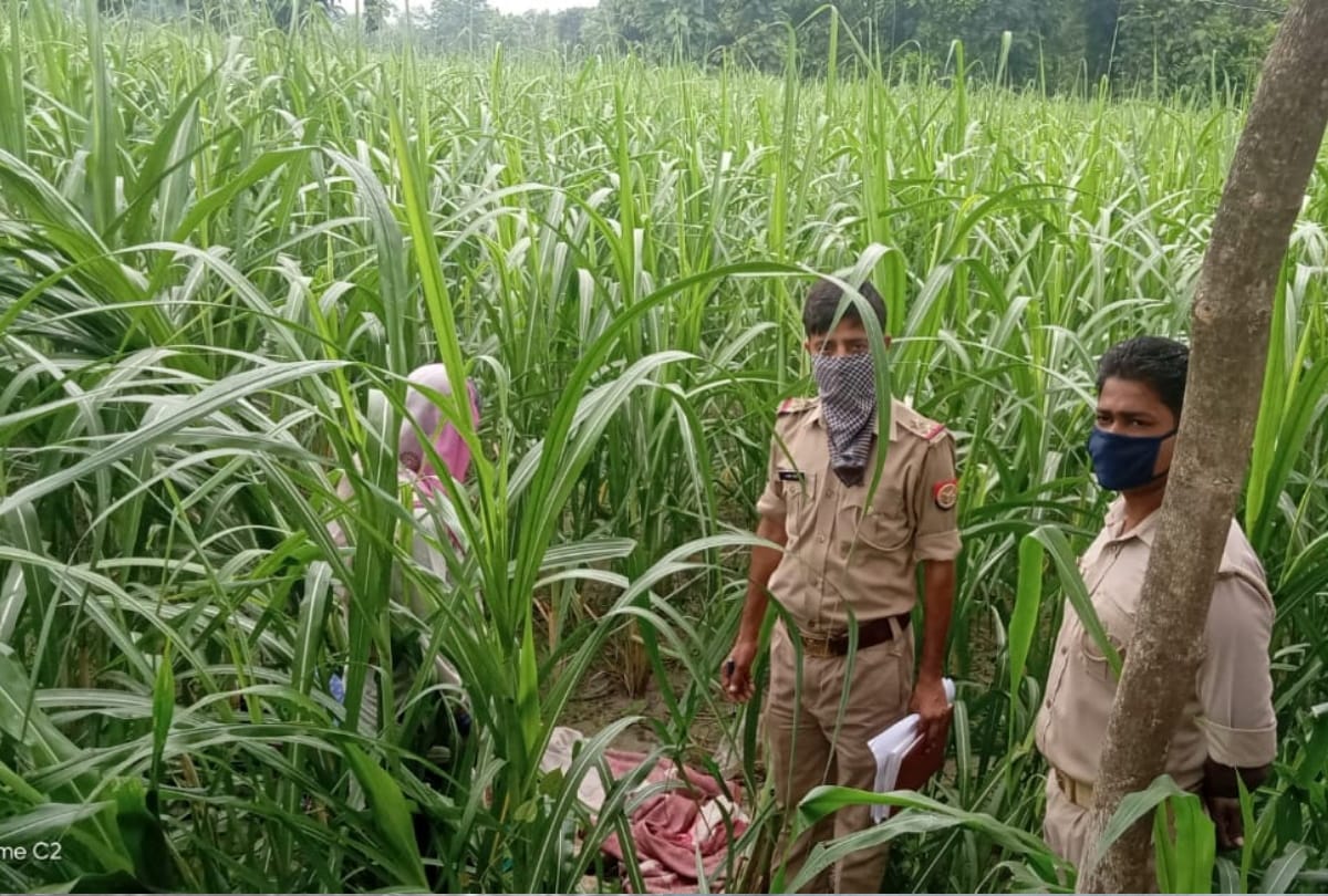 woman died after being struck by electric wire in kushinagar