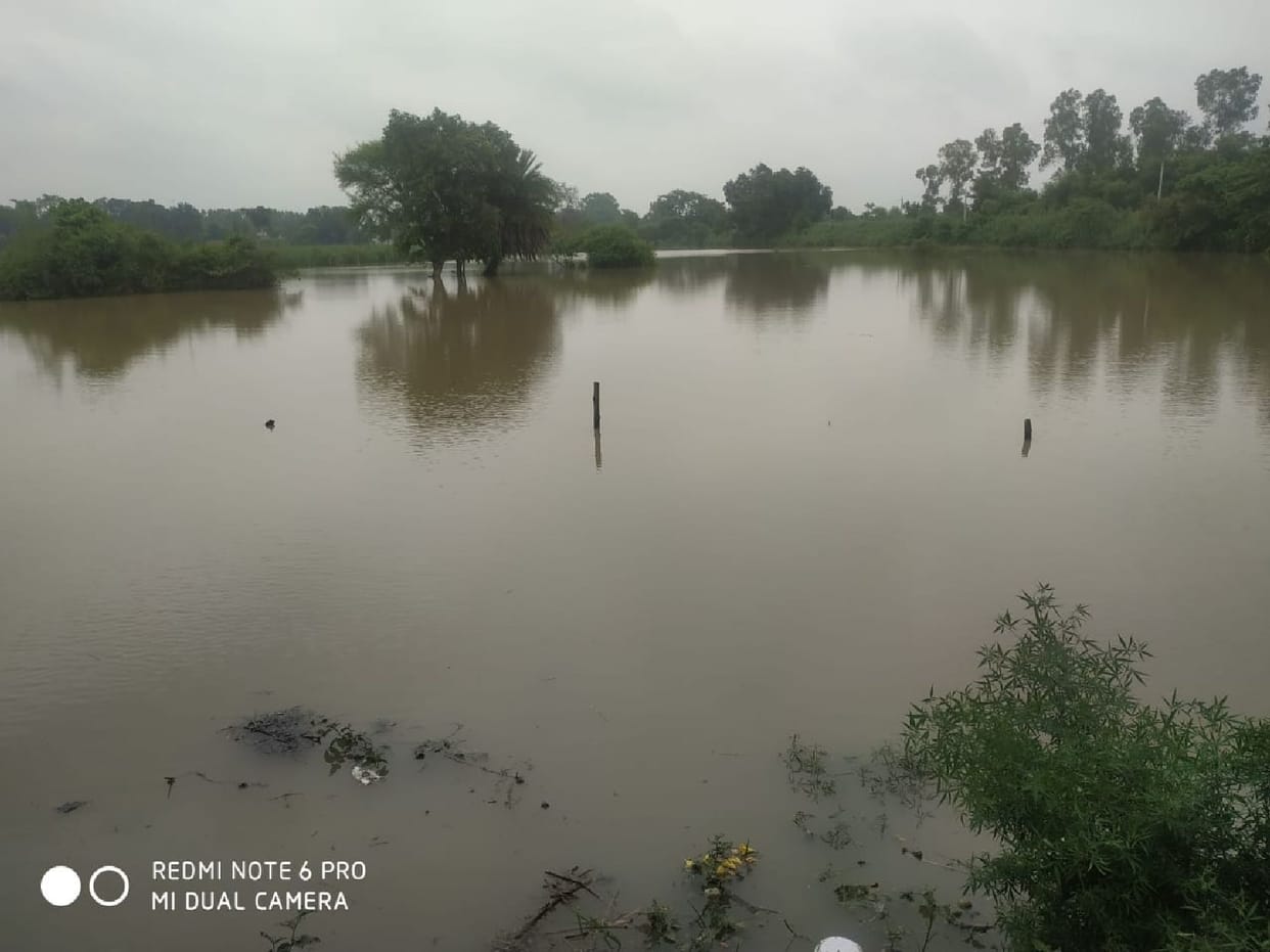 Flood water filled in 22 villages of Mahsi