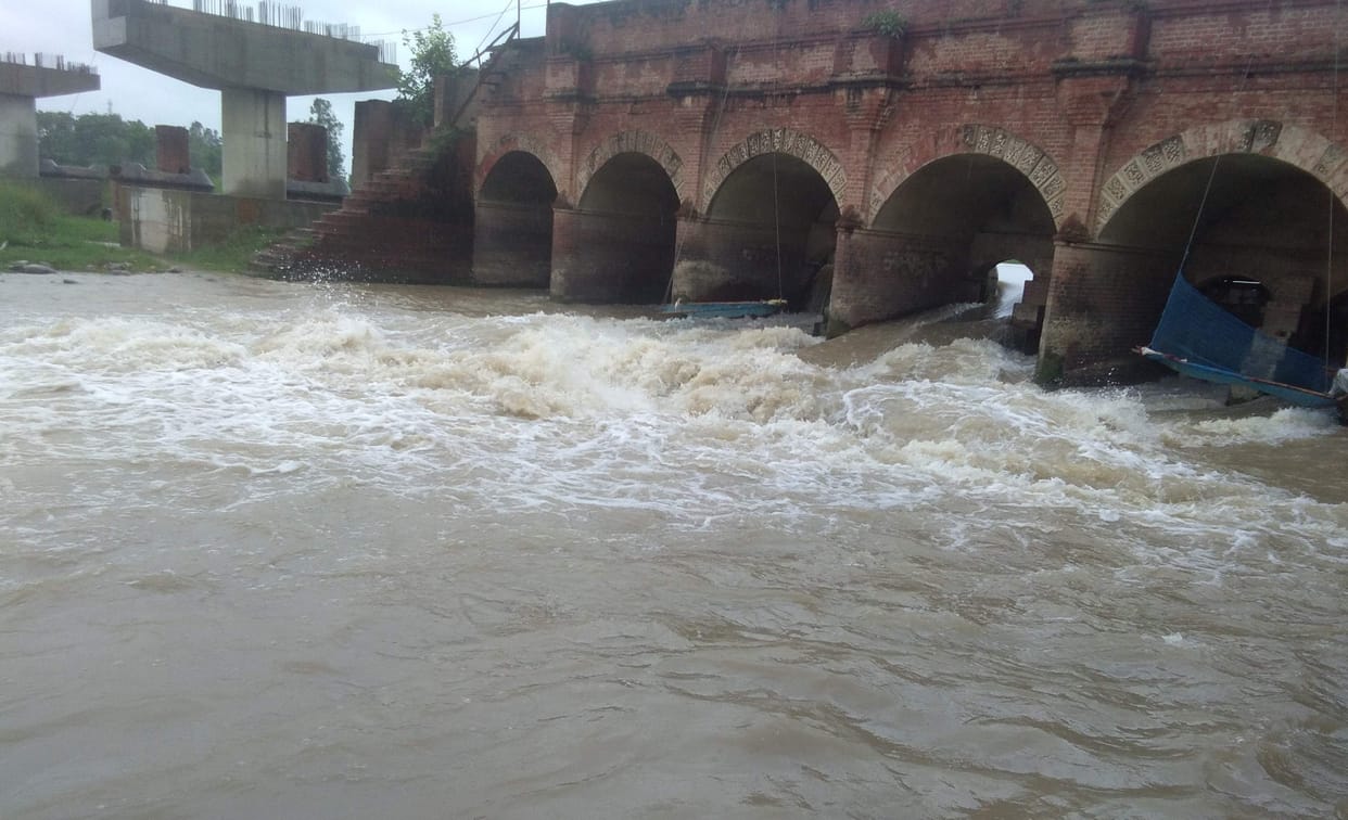 Kosi river's water level rises, farmers worry about crops