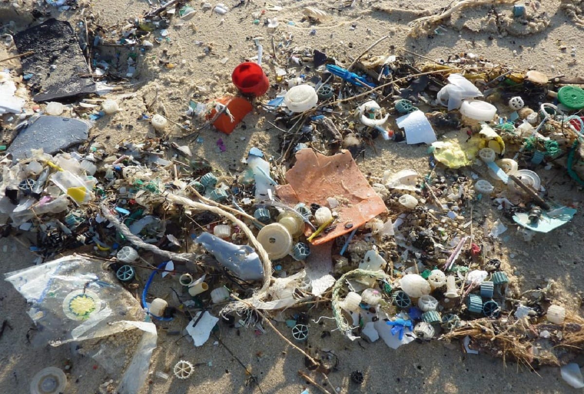 Antarctica, Threatened ecosystem, microplastic fraction found in microbs