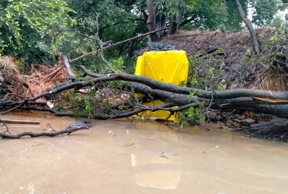 Husband and wife died when a tree falls at them in Sultanpur.