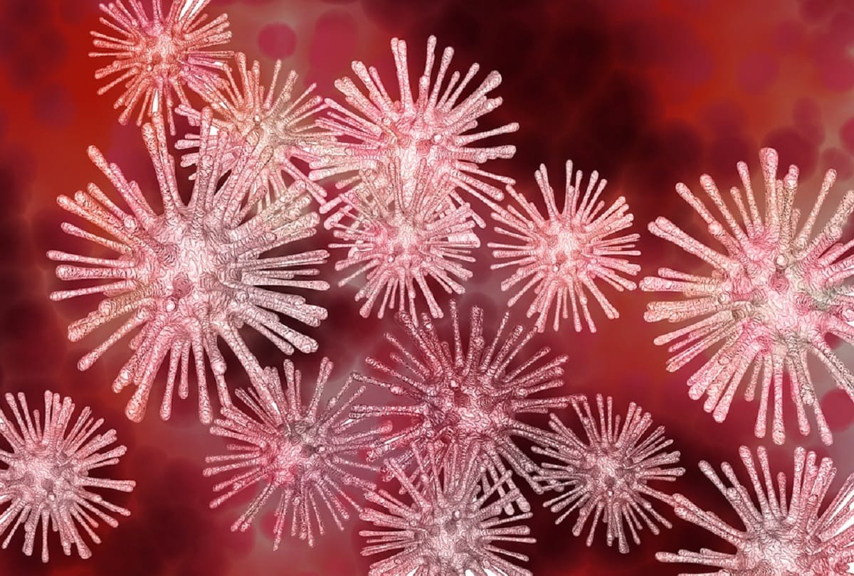 If virus were not in the world human would lay eggs instead of giving birth