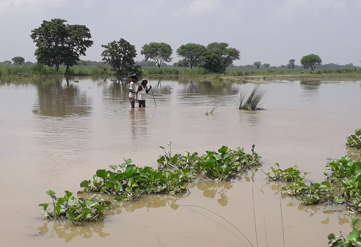Ghaghra reached 15 cm above red mark on Dighiya Nalla