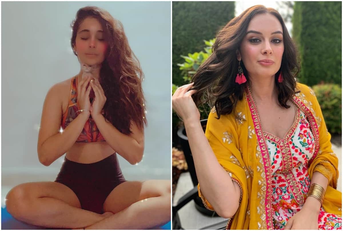 Top Five News of Televisio and OTT Platform Breath2 Evelyn Sharma Rishikesh Joshi Abhishek Bachchan Himesh Reshammiya
