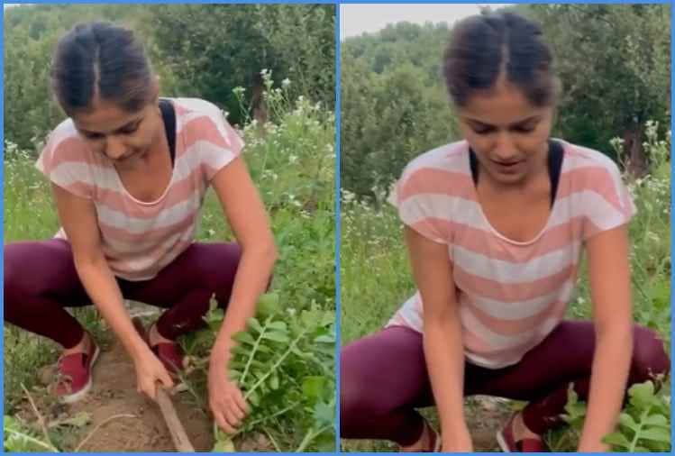 chhoti bahu fame actress rubina dilaik shares farming video
