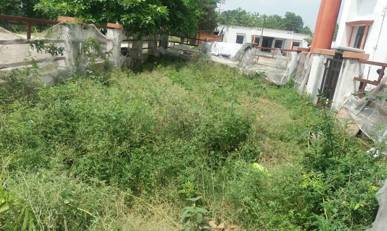 cleanliness system failed in district joint hospital
