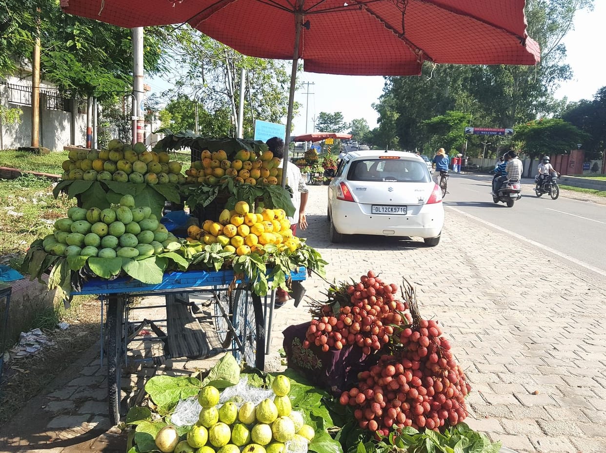 Juicy mangoes are making travel pleasant