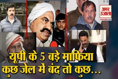 Kanpur Encounter : Know About 5 Top Gangsters Of UP