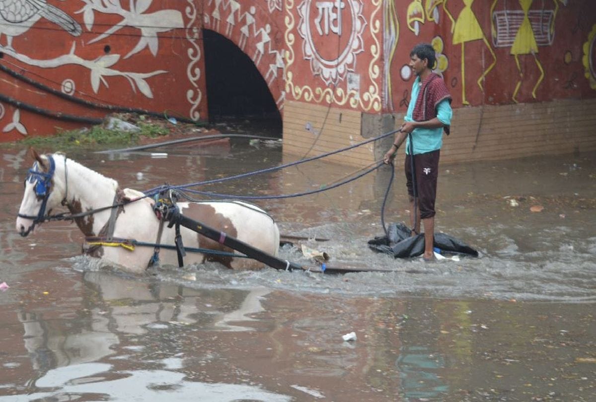 Weather Forecast Update Today in Mathura: Monsoon Heavey Rain Hits Mathura Pictures Know Latest Weather Forecast