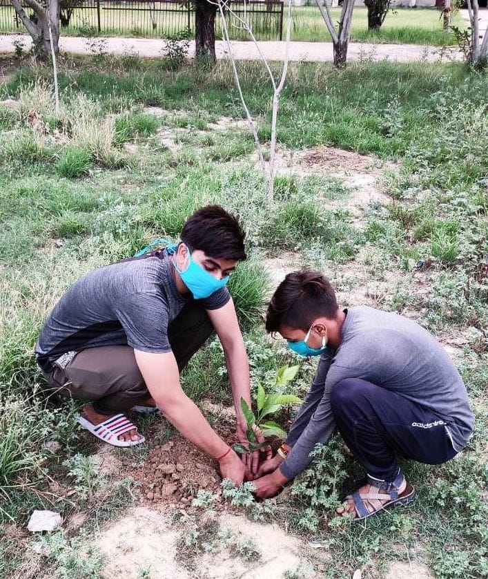 plantation programme in auraiya