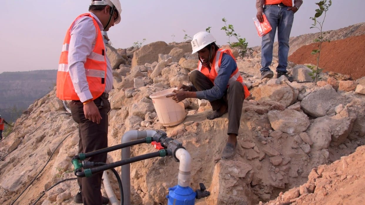 Plants planted will no longer dry in the mining sector