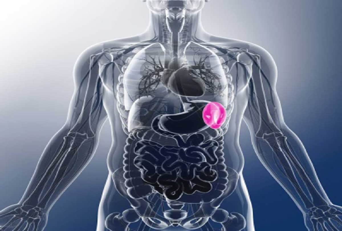 Immune system: foods that decreases our immunity in hindi