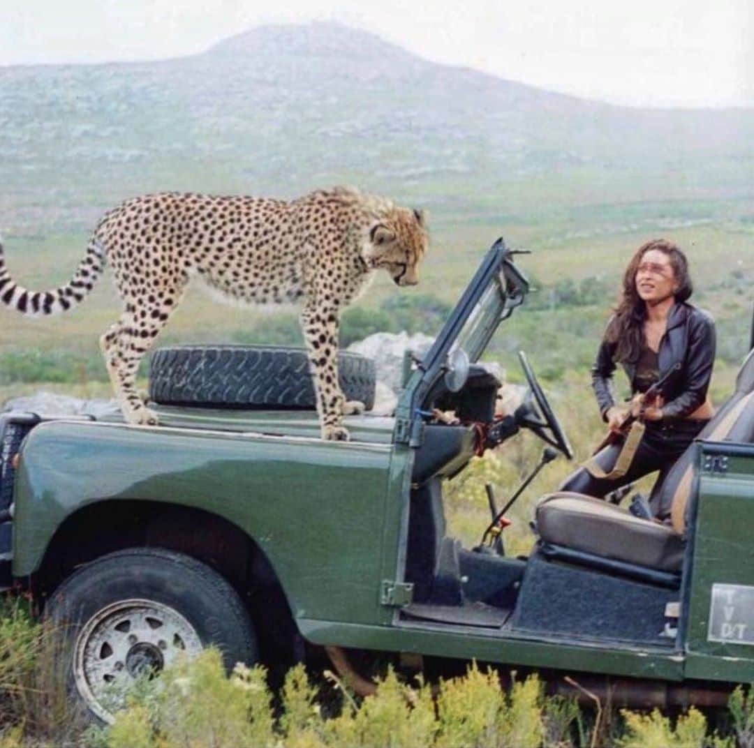 Karishma Kapoor shares her throwback photo with cheetah